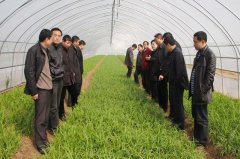 壽縣壽西湖農場400立方保鮮冷庫安